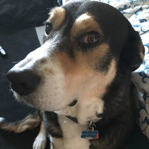 Meet your Posher, Jim